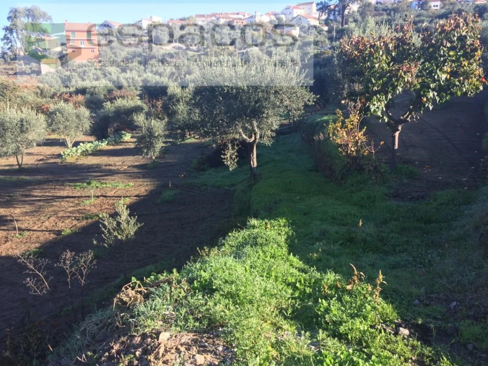 Moradia T4 para Venda em Lavacolhos Foto 54