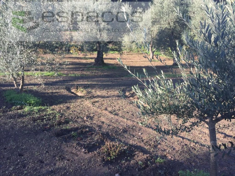 Moradia T4 para Venda em Lavacolhos Foto 58