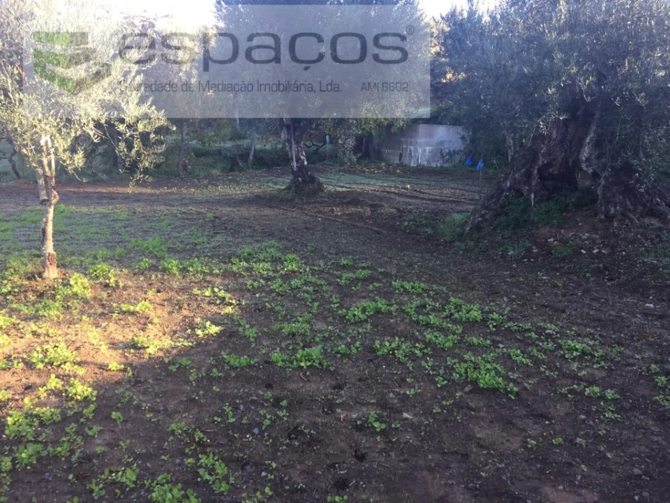 Moradia T4 para Venda em Lavacolhos Foto 61