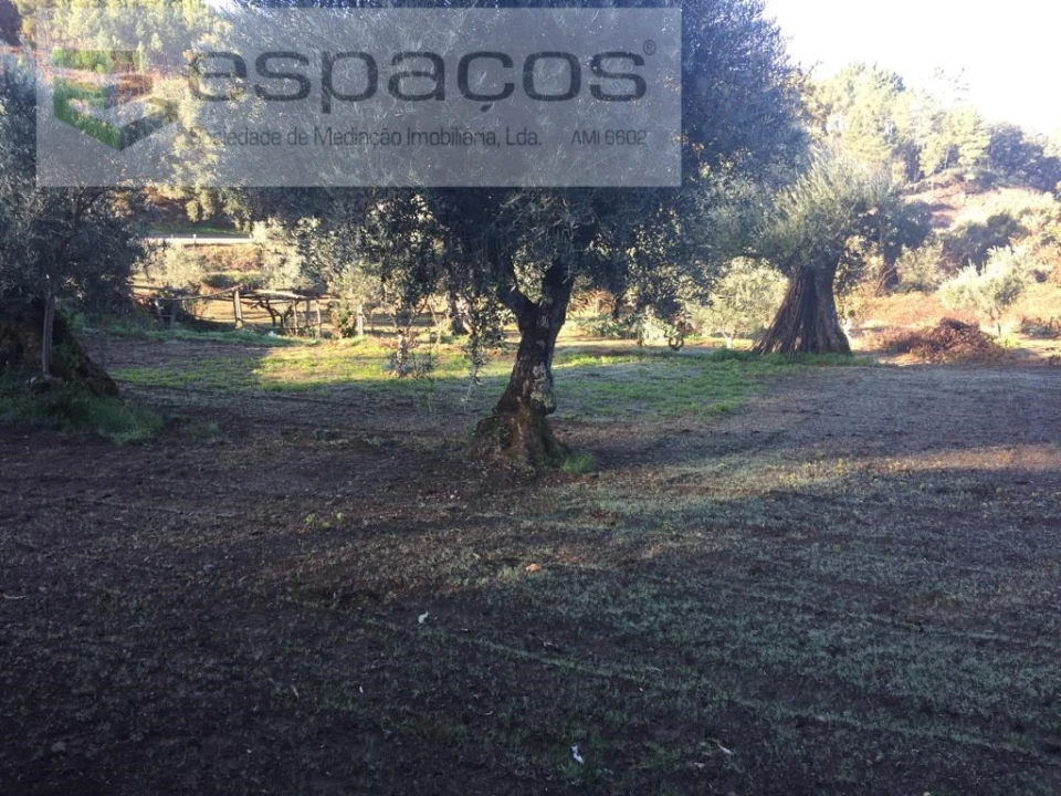 Moradia T4 para Venda em Lavacolhos Foto 64