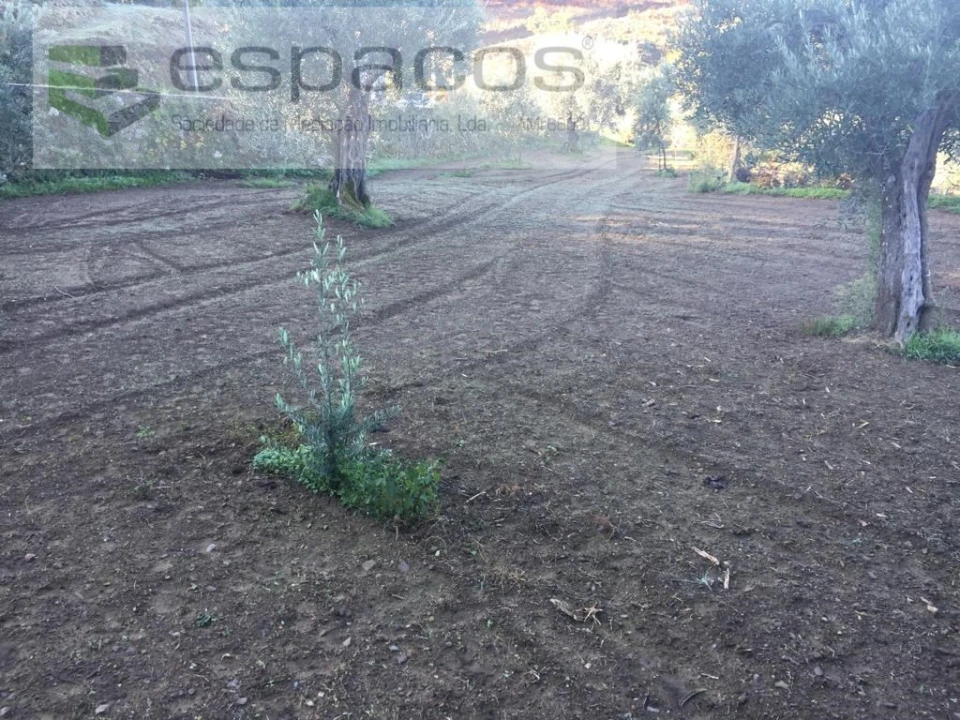 Moradia T4 para Venda em Lavacolhos Foto 65