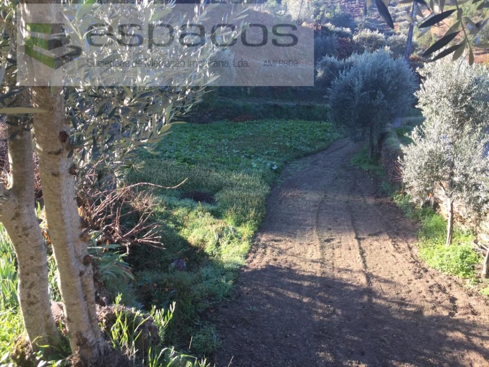 Moradia T4 para Venda em Lavacolhos Foto 68