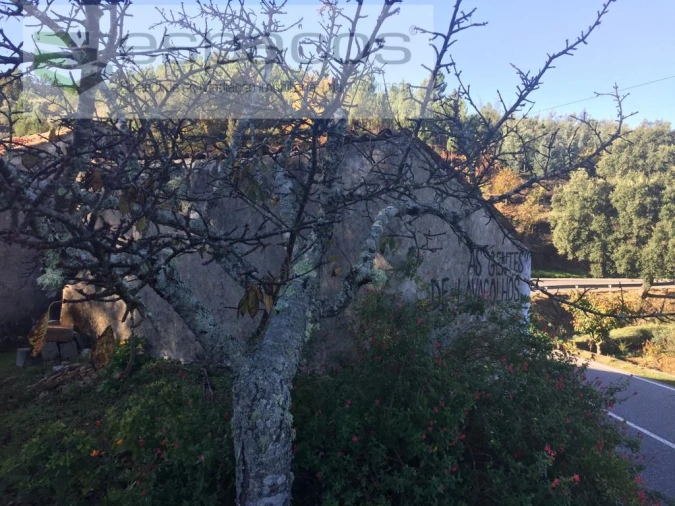 Moradia T4 para Venda em Lavacolhos Foto 21