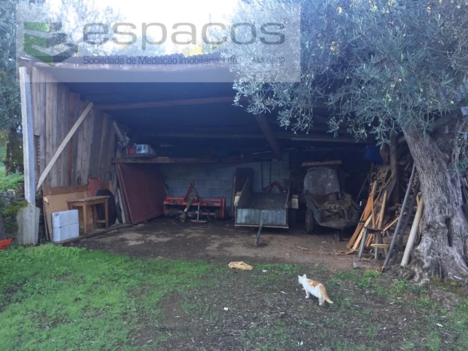 Moradia T4 para Venda em Lavacolhos Foto 45