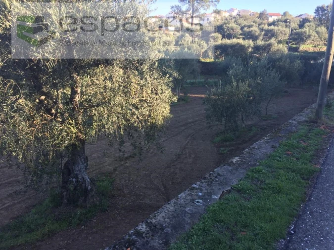 Moradia T4 para Venda em Lavacolhos Foto 51