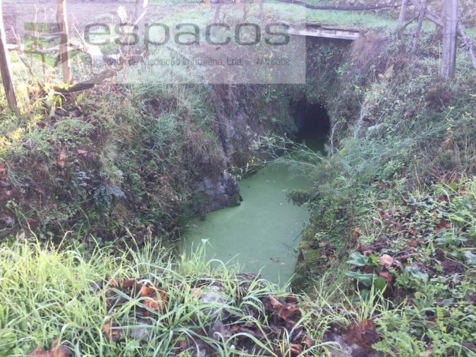 Moradia T4 para Venda em Lavacolhos Foto 56