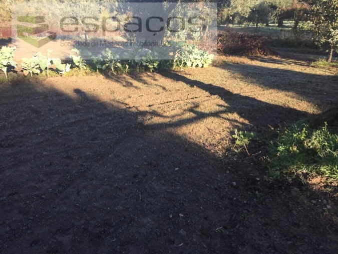 Moradia T4 para Venda em Lavacolhos Foto 57