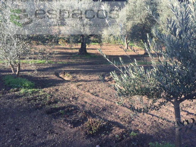 Moradia T4 para Venda em Lavacolhos Foto 58