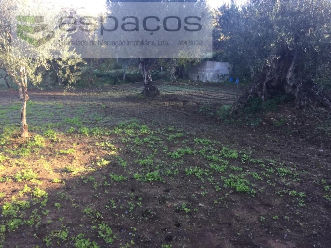 Moradia T4 para Venda em Lavacolhos Foto 61