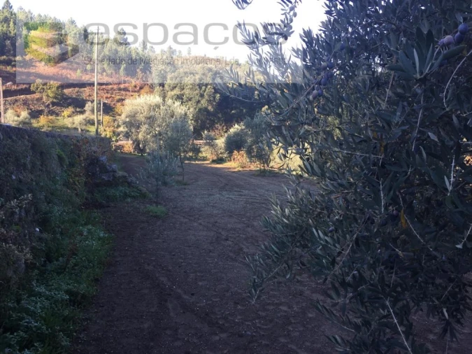 Moradia T4 para Venda em Lavacolhos Foto 66