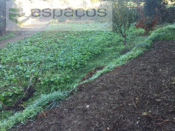 Moradia T4 para Venda em Lavacolhos Foto 70