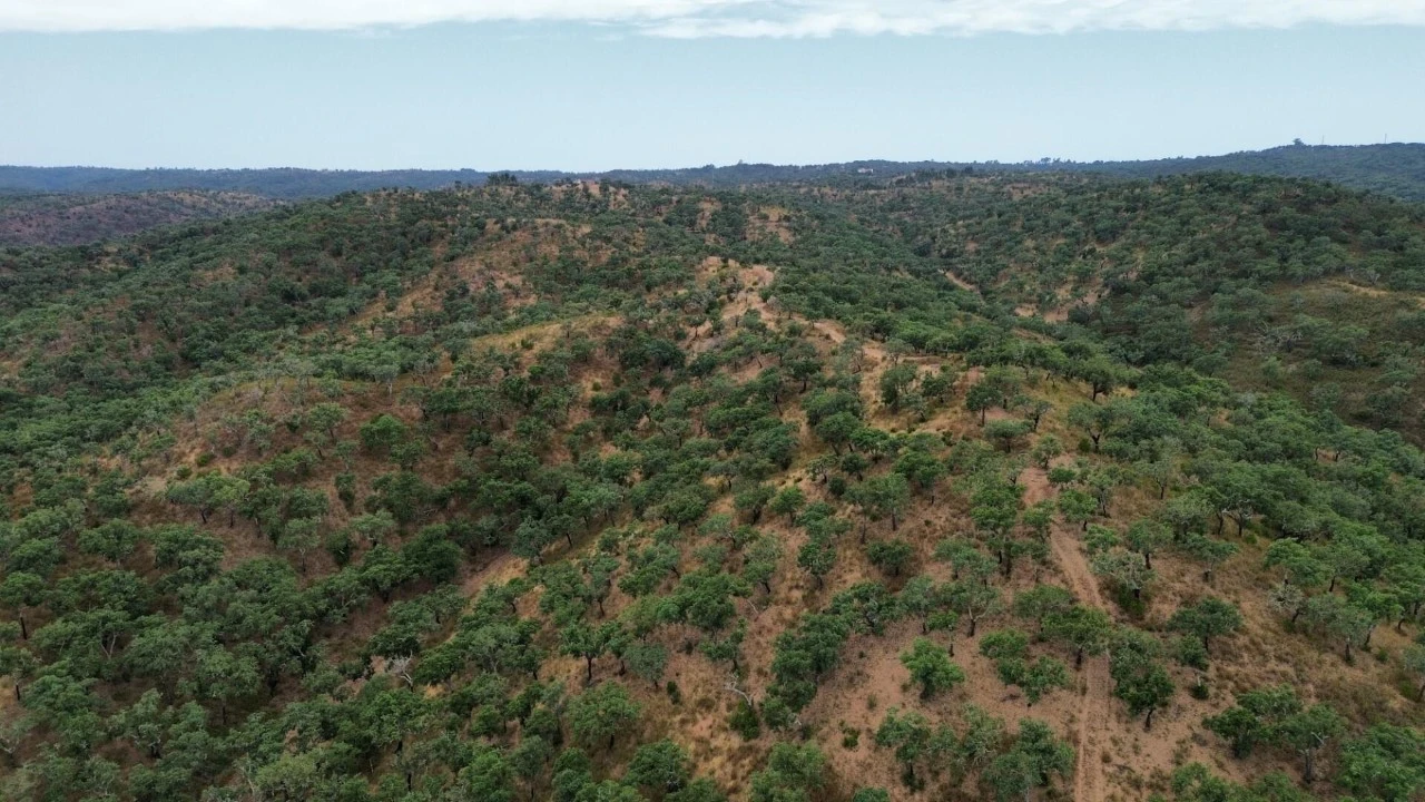 Quinta para Venda em Grândola e Santa Margarida da Serra Foto 3