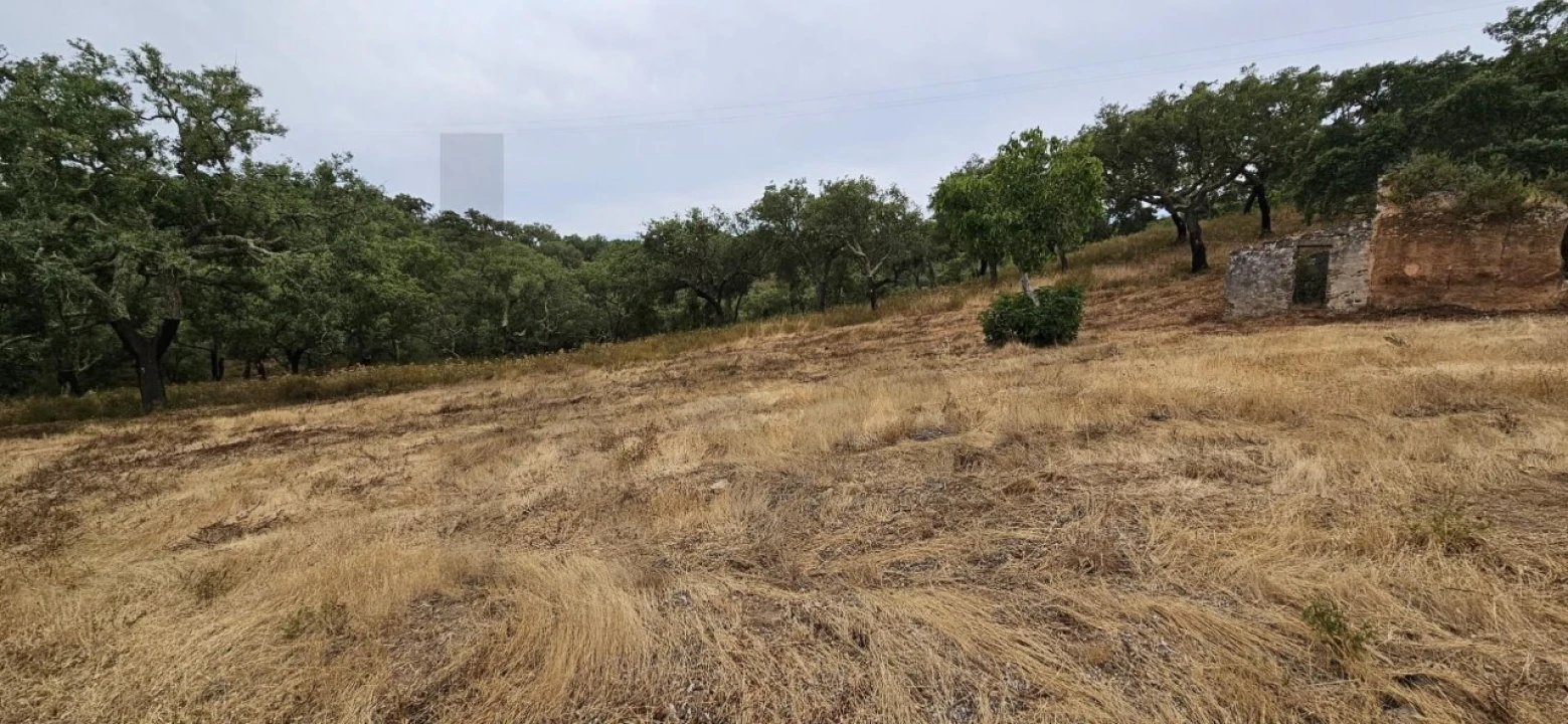 Quinta para Venda em Grândola e Santa Margarida da Serra Foto 10