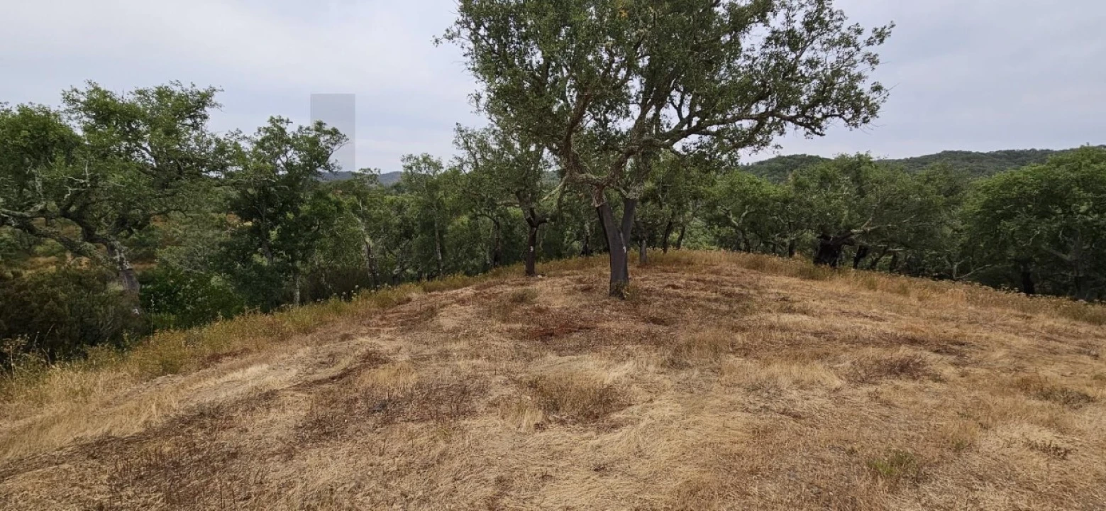 Quinta para Venda em Grândola e Santa Margarida da Serra Foto 13