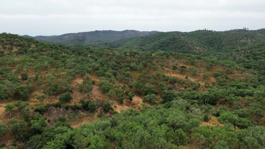 Quinta para Venda em Grândola e Santa Margarida da Serra