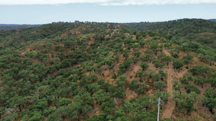 Quinta para Venda em Grândola e Santa Margarida da Serra Foto 2