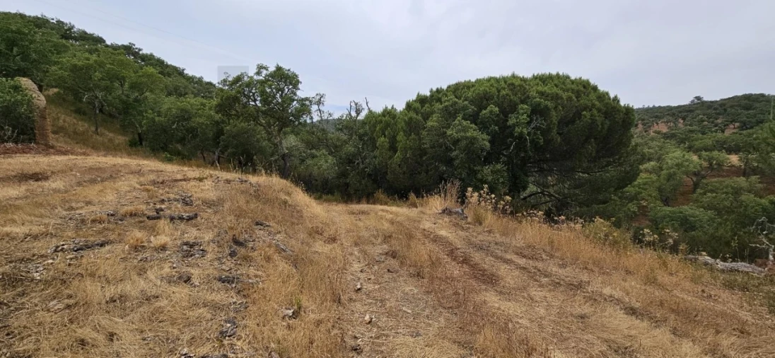 Quinta para Venda em Grândola e Santa Margarida da Serra Foto 11