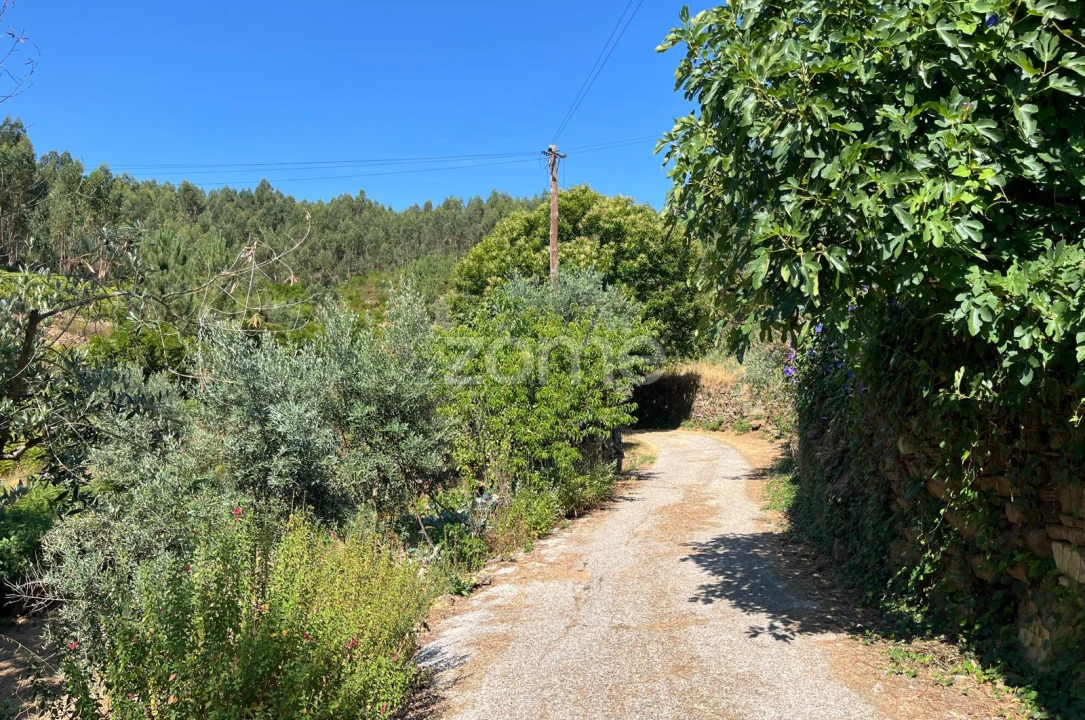 Terreno para Venda em Troviscal Foto 5