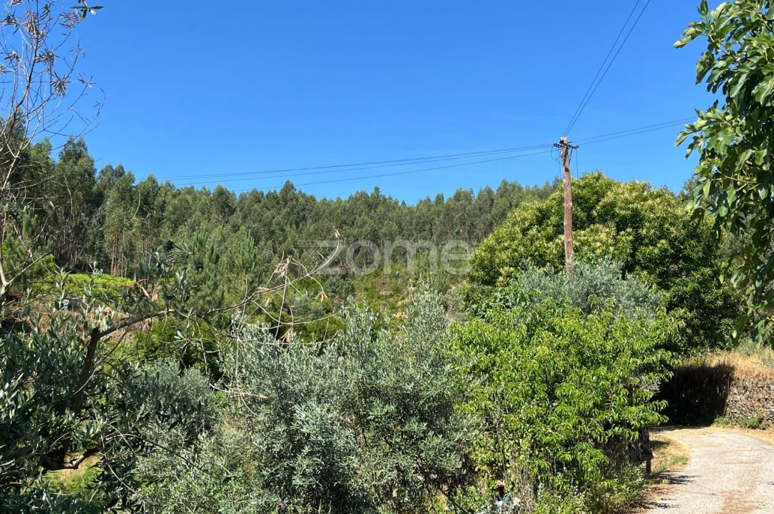 Terreno para Venda em Troviscal Foto 13