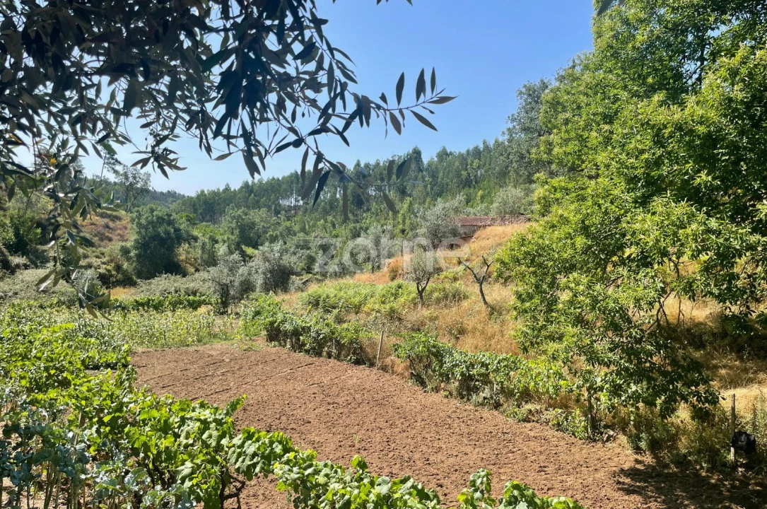 Terreno para Venda em Troviscal Foto 8