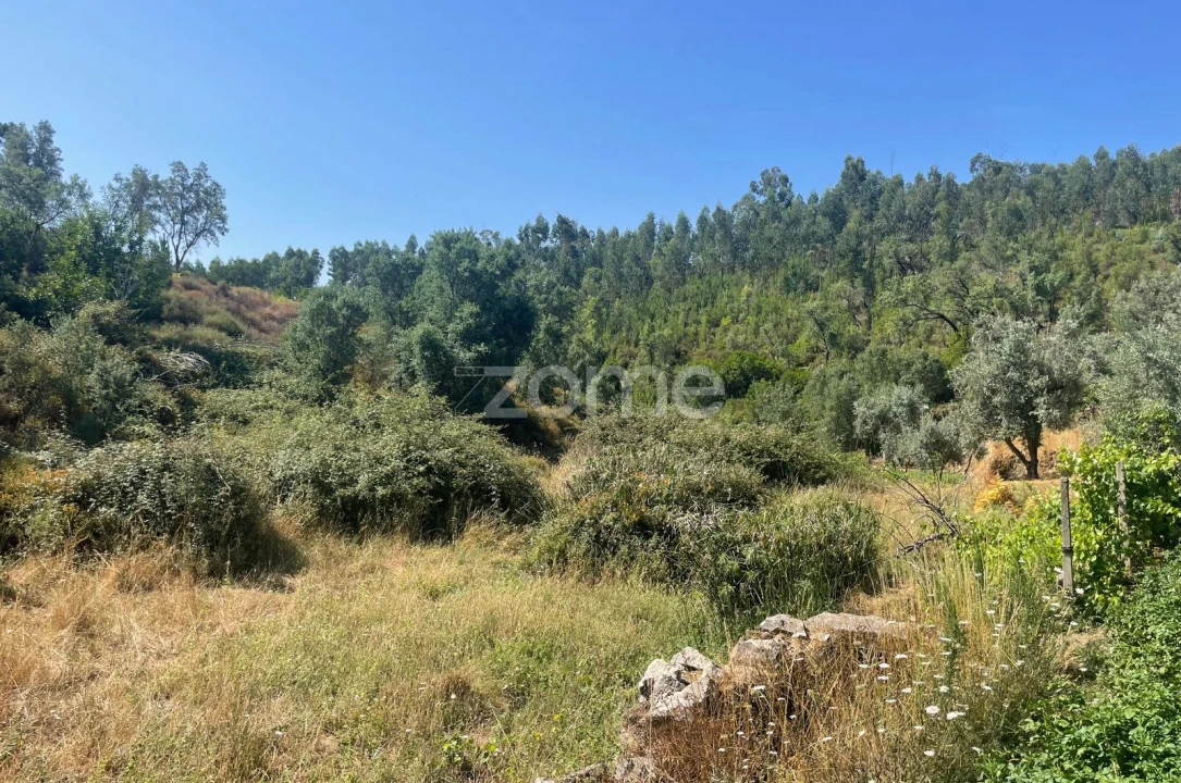 Terreno para Venda em Troviscal Foto 7
