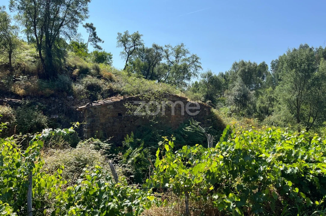 Terreno para Venda em Troviscal Foto 10