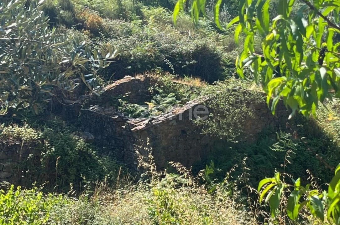 Terreno para Venda em Troviscal Foto 11