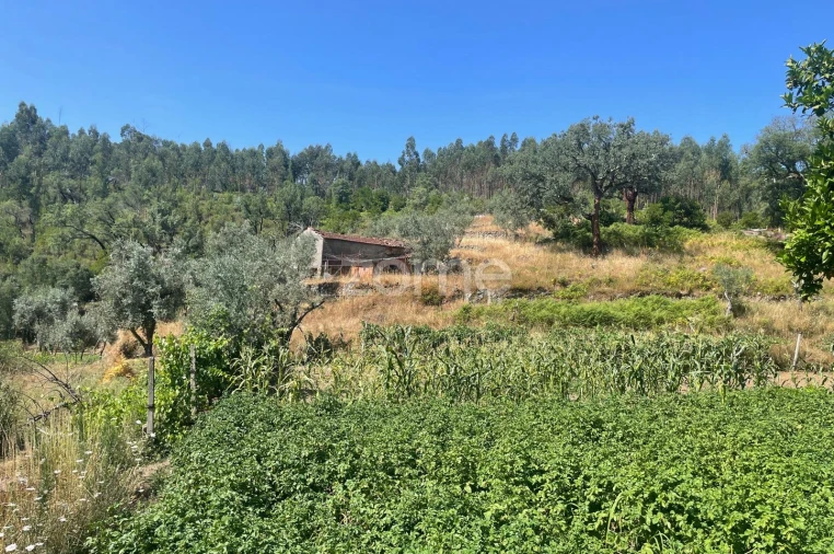 Terreno para Venda em Troviscal Foto 12