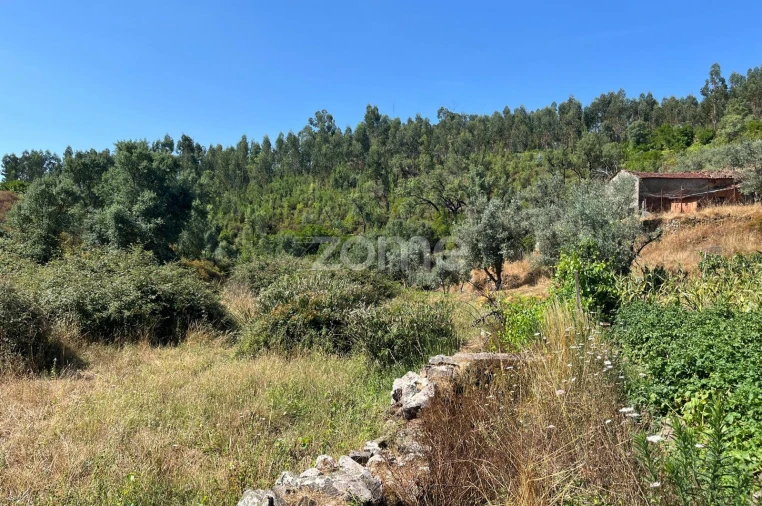 Terreno para Venda em Troviscal Foto 6