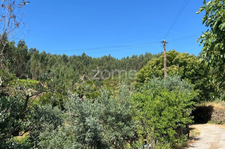 Terreno para Venda em Troviscal Foto 13