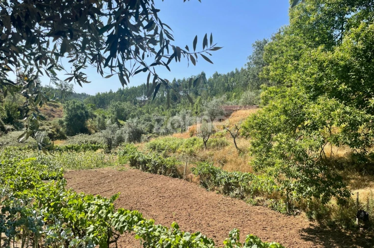 Terreno para Venda em Troviscal Foto 8