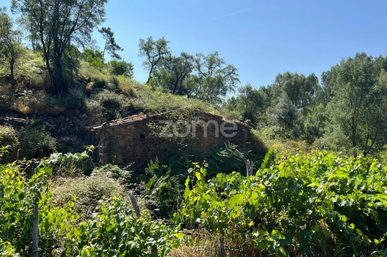 Terreno para Venda em Troviscal Foto 10
