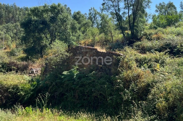 Terreno para Venda em Troviscal