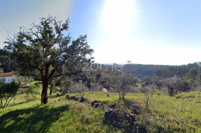 Terreno para Venda em Troviscal Foto 3