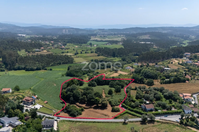 Terreno para Venda em Ardegão, Freixo e Mato Foto 10