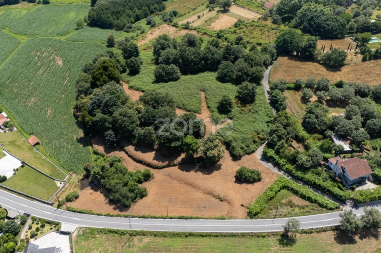 Terreno para Venda em Ardegão, Freixo e Mato Foto 11