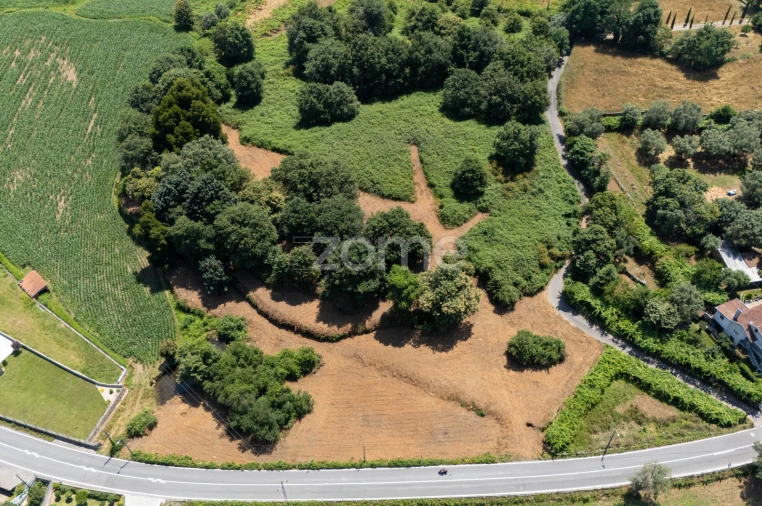 Terreno para Venda em Ardegão, Freixo e Mato Foto 12