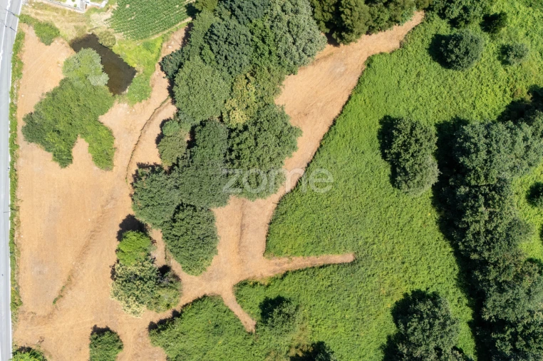 Terreno para Venda em Ardegão, Freixo e Mato Foto 13