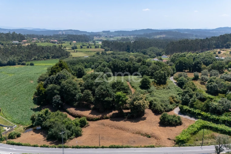 Terreno para Venda em Ardegão, Freixo e Mato Foto 15