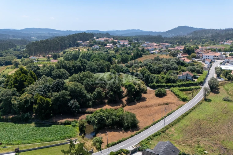 Terreno para Venda em Ardegão, Freixo e Mato Foto 16