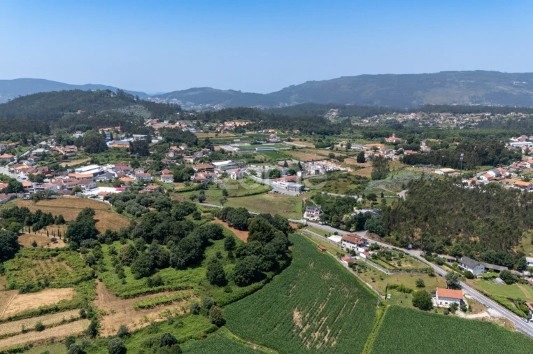 Terreno para Venda em Ardegão, Freixo e Mato Foto 5