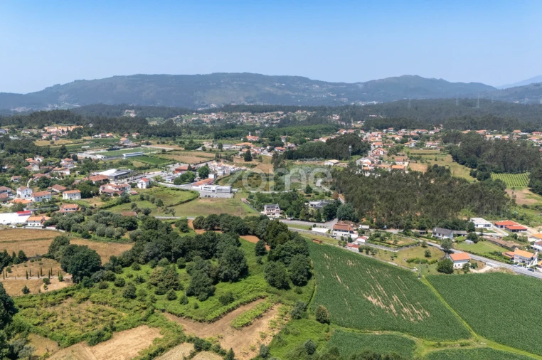 Terreno para Venda em Ardegão, Freixo e Mato Foto 6
