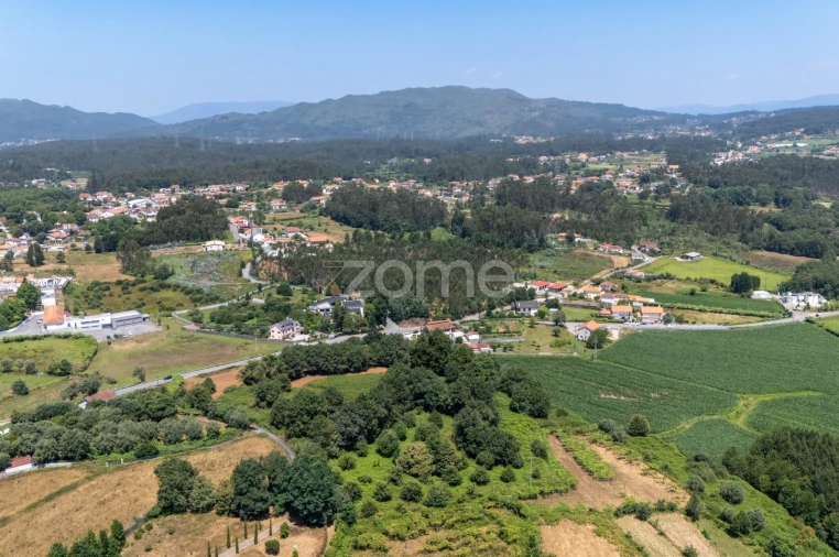 Terreno para Venda em Ardegão, Freixo e Mato Foto 7