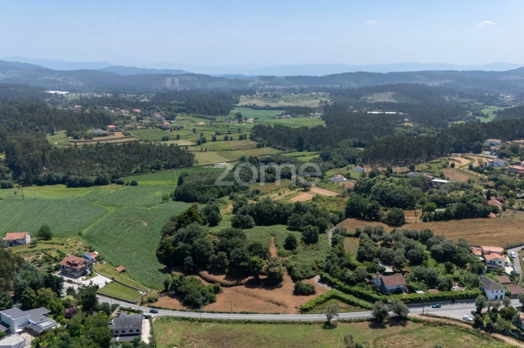 Terreno para Venda em Ardegão, Freixo e Mato