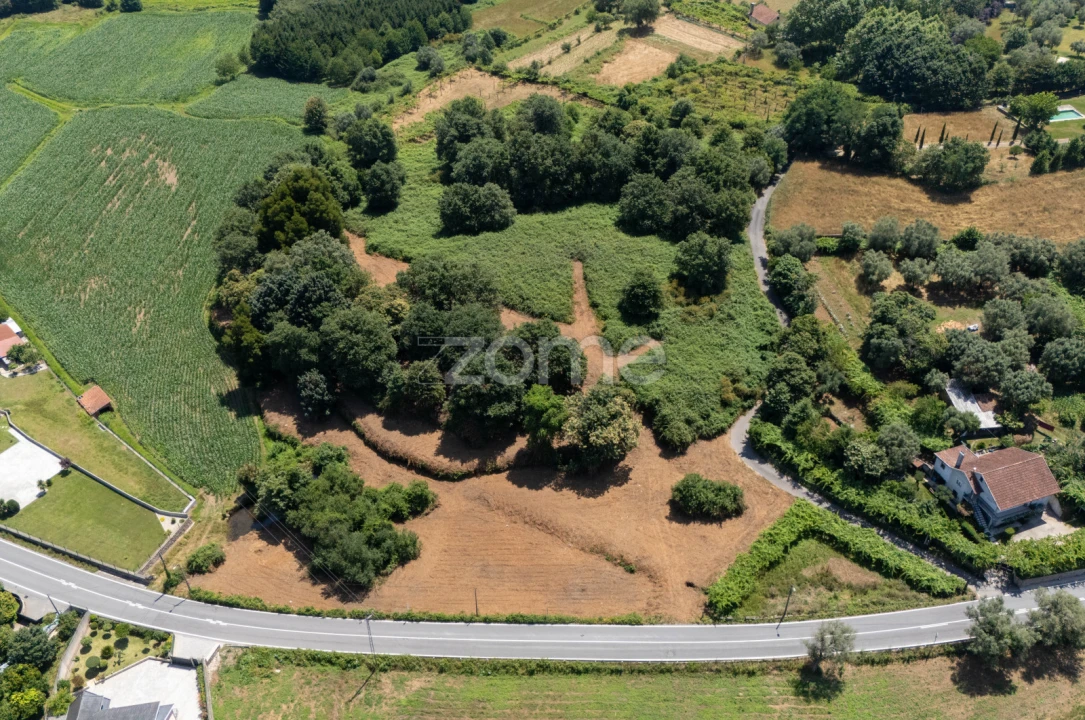 Terreno para Venda em Ardegão, Freixo e Mato Foto 11