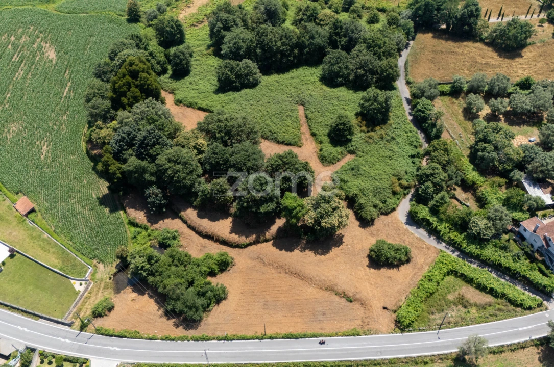 Terreno para Venda em Ardegão, Freixo e Mato Foto 12