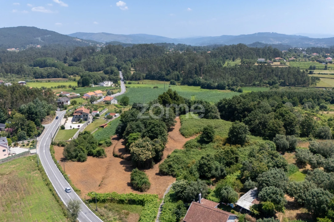 Terreno para Venda em Ardegão, Freixo e Mato Foto 14