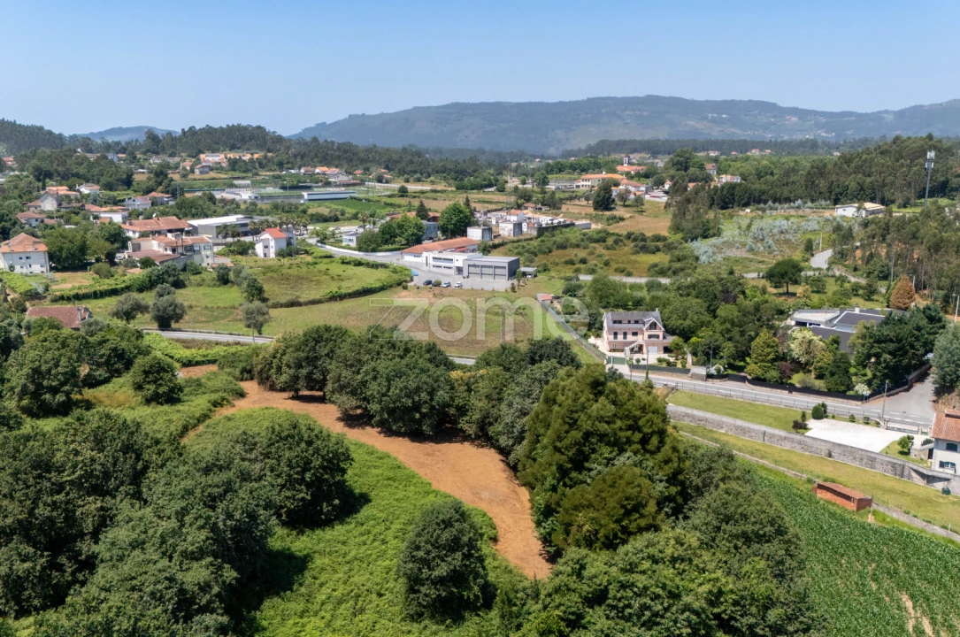 Terreno para Venda em Ardegão, Freixo e Mato Foto 18