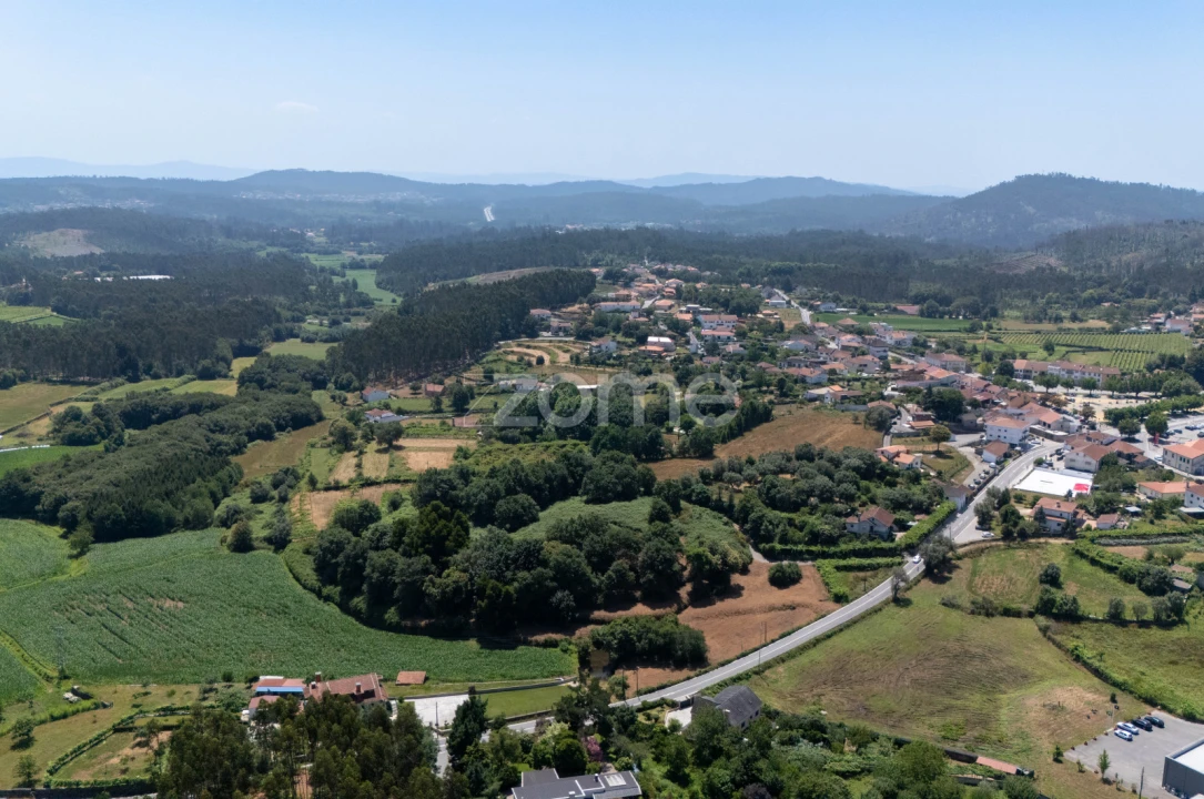 Terreno para Venda em Ardegão, Freixo e Mato Foto 2