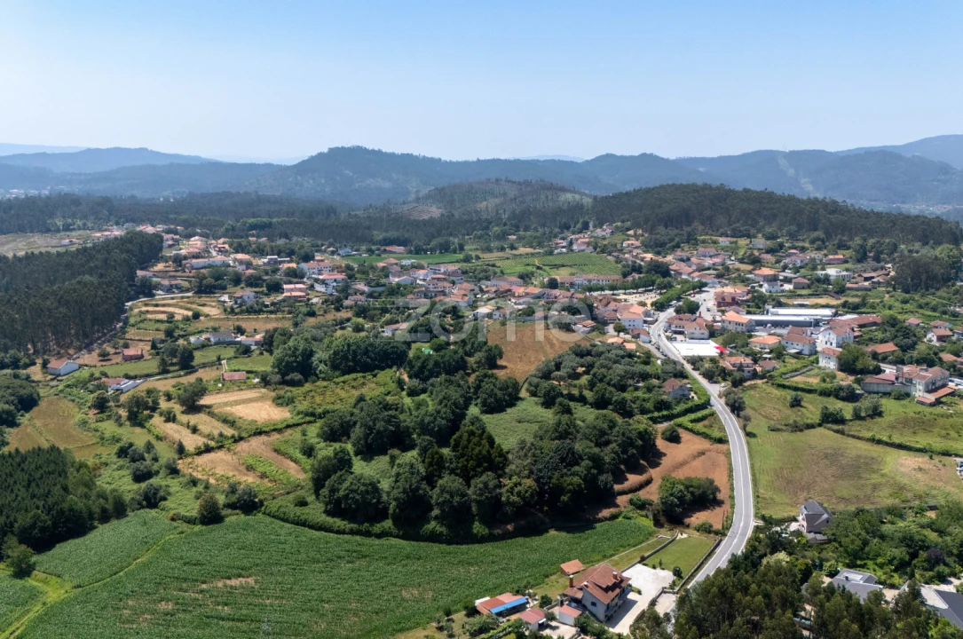 Terreno para Venda em Ardegão, Freixo e Mato Foto 3